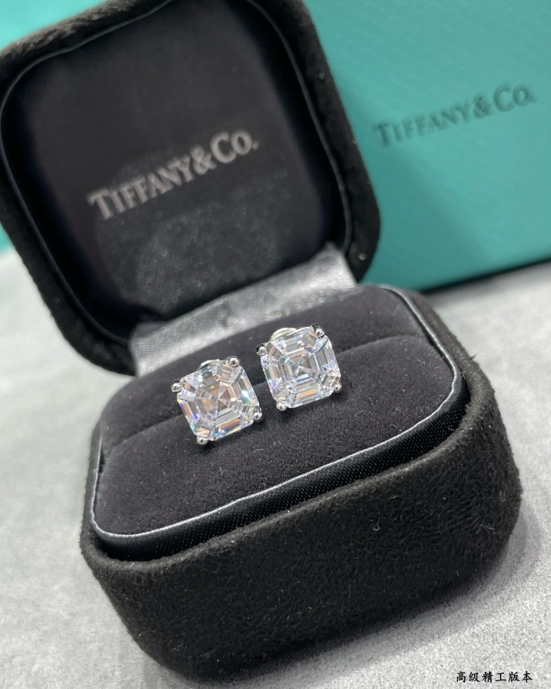 T*f*ny earrings